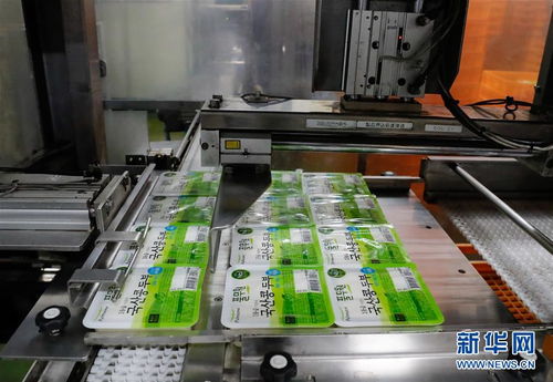 探访进博会参展商 韩国绿色食品企业圃美多的豆腐工厂 图片频道